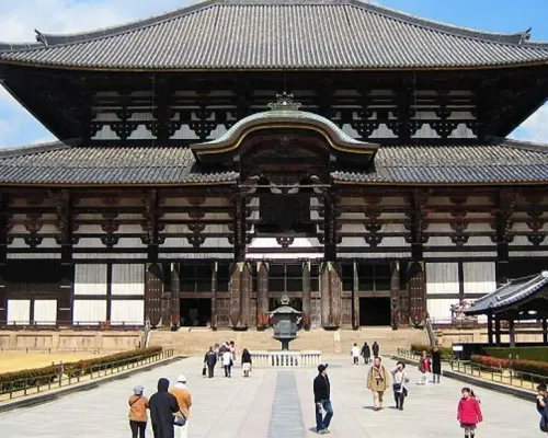 Nara Private Tour by Public Transportation from Osaka